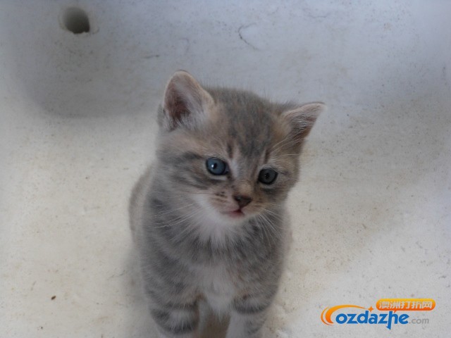 DSCN0929 (640x480).jpg