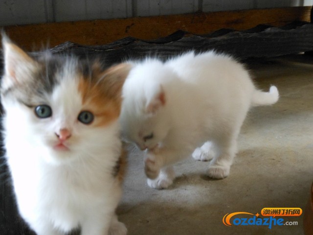 DSCN0935 (640x480).jpg