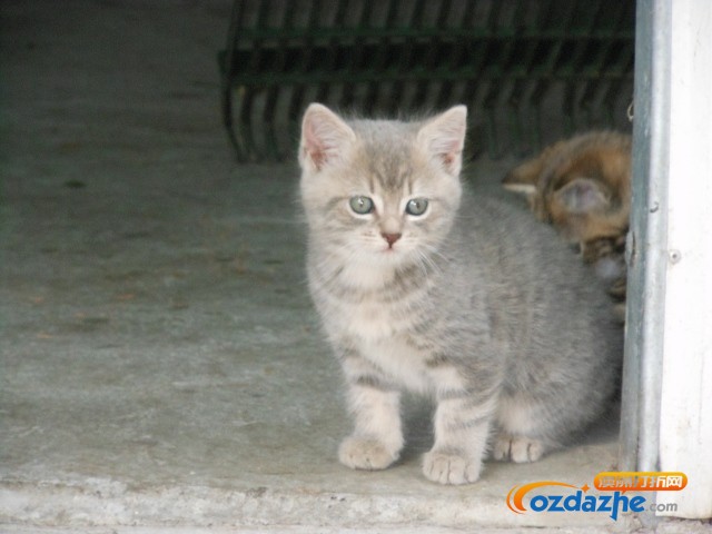 DSCN1243 (640x480).jpg