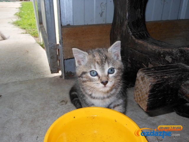 DSCN1245 (640x480).jpg