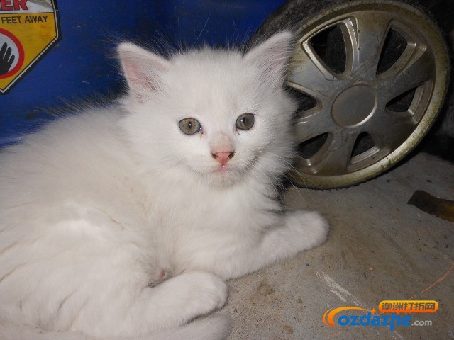 DSCN1252 (640x480).jpg