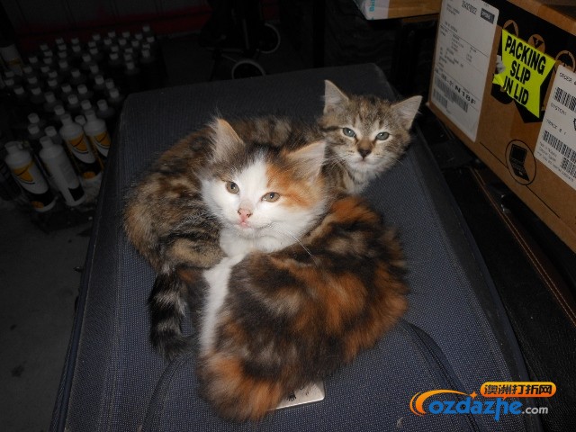 DSCN1274 (640x480).jpg