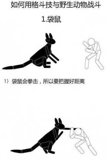 QQ截图20170119220050.png